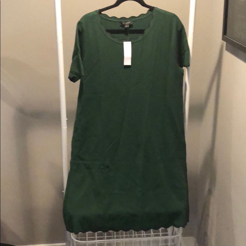 Ann Taylor, Size XL shortsleeved dress